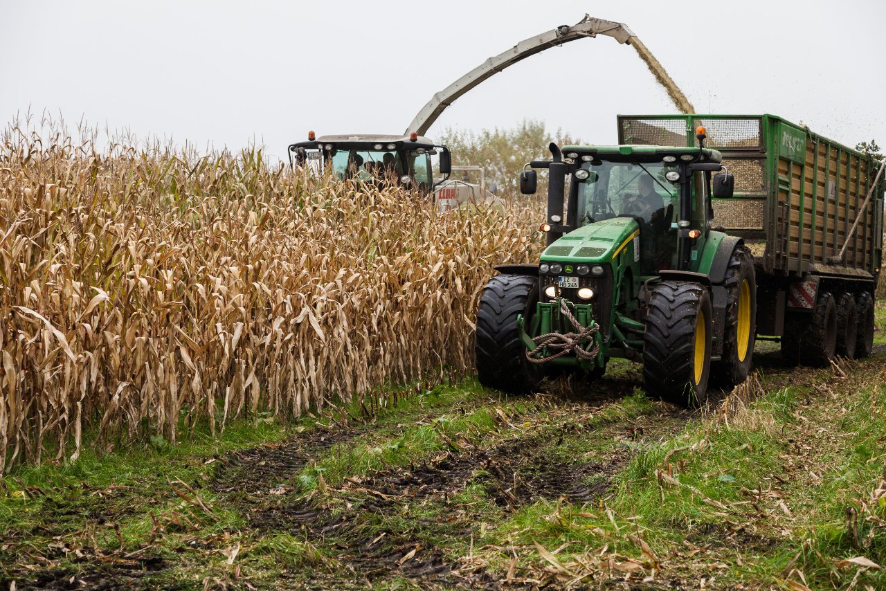 Bild 118 - Biogas am 21.10.12